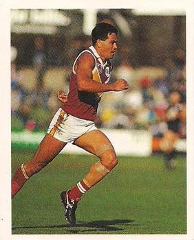 1993 Select AFL Stickers #35 Michael McLean Front